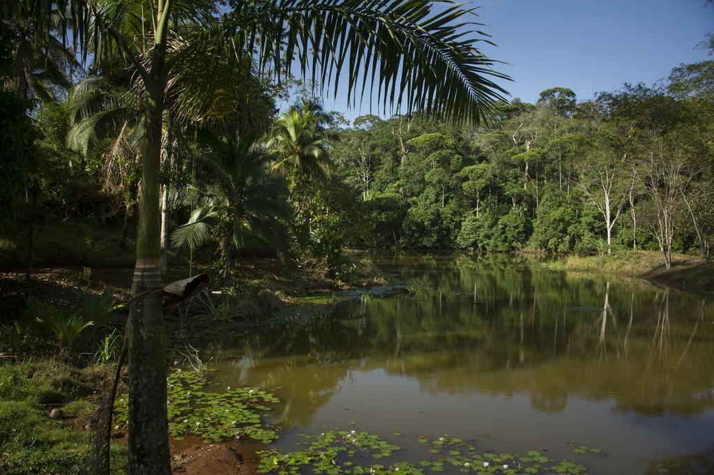 La Laguna Del Lagarto Eco-Lodge Pital  Екстериор снимка