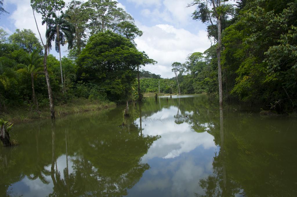 La Laguna Del Lagarto Eco-Lodge Pital  Екстериор снимка