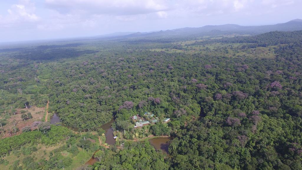 La Laguna Del Lagarto Eco-Lodge Pital  Екстериор снимка