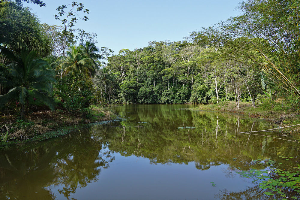 La Laguna Del Lagarto Eco-Lodge Pital  Екстериор снимка