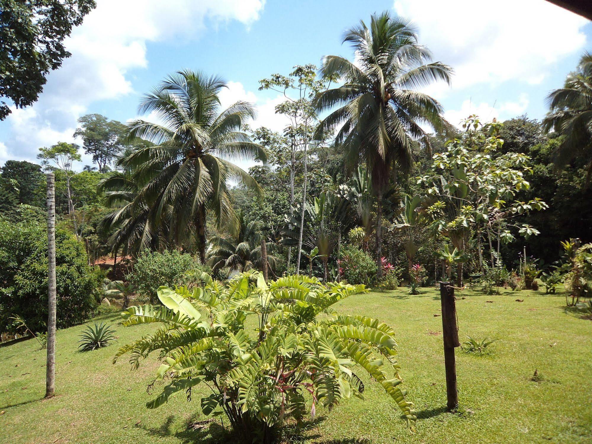 La Laguna Del Lagarto Eco-Lodge Pital  Екстериор снимка