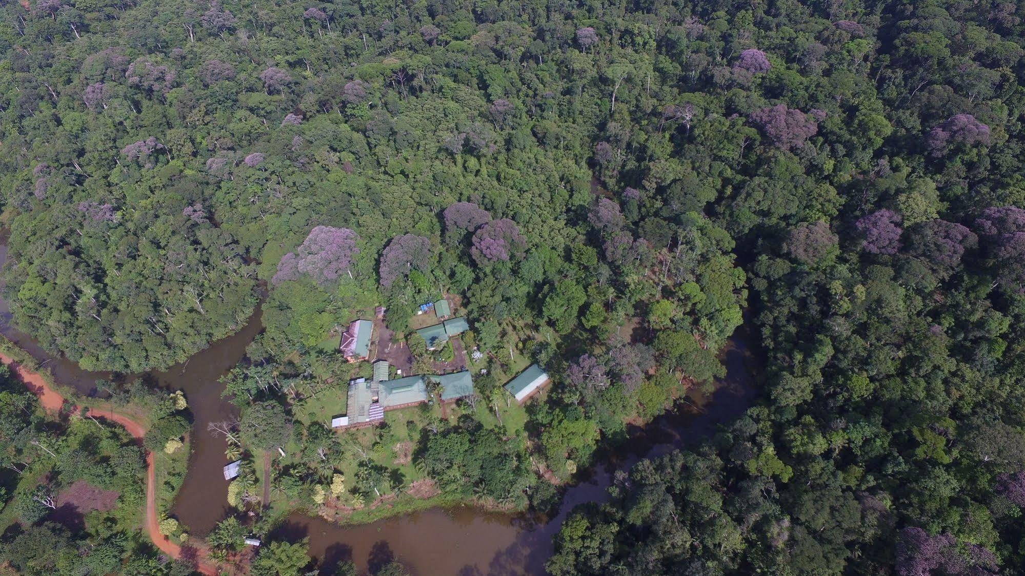 La Laguna Del Lagarto Eco-Lodge Pital  Екстериор снимка