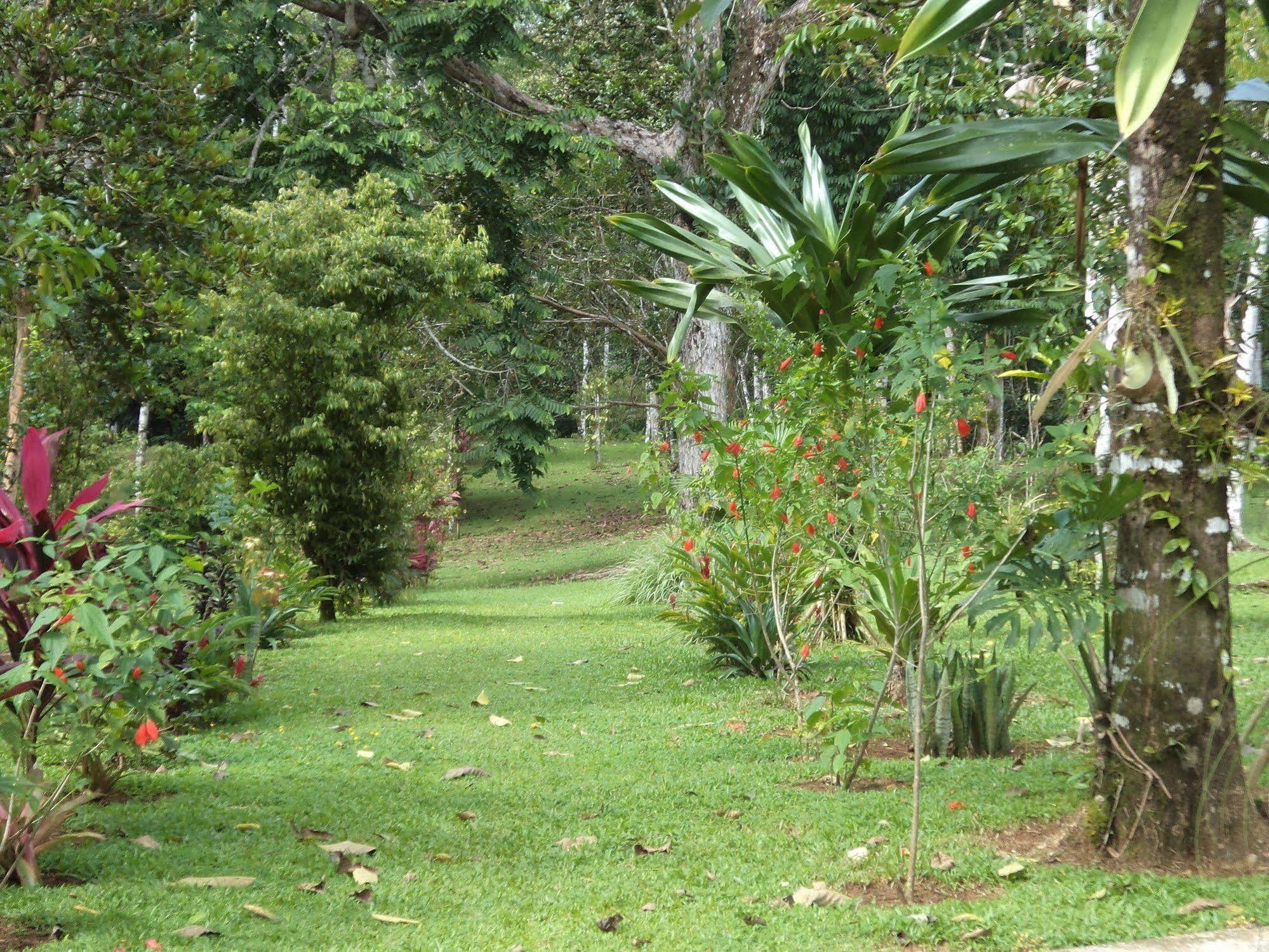 La Laguna Del Lagarto Eco-Lodge Pital  Екстериор снимка