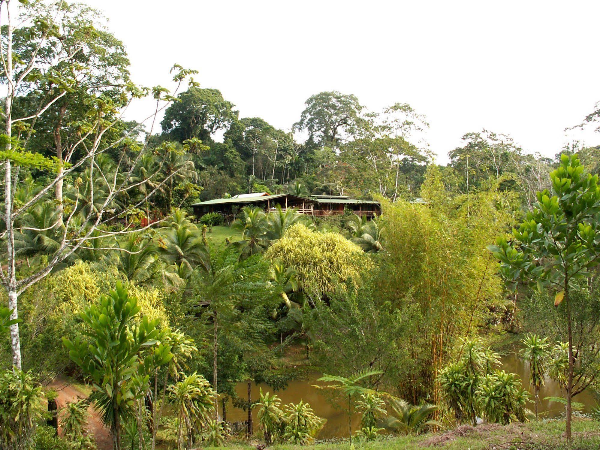 La Laguna Del Lagarto Eco-Lodge Pital  Екстериор снимка
