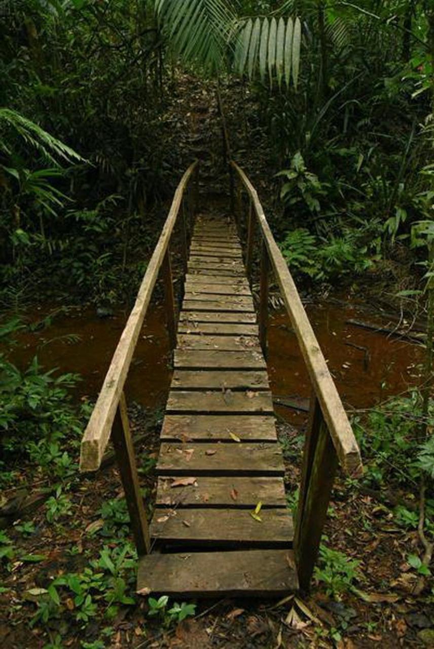 La Laguna Del Lagarto Eco-Lodge Pital  Екстериор снимка